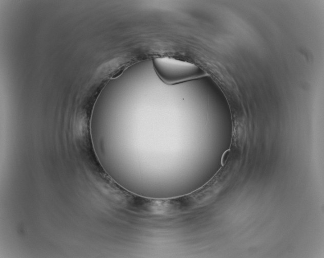 X0000113030623200908271456