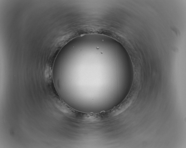 X0000113030624200908271456