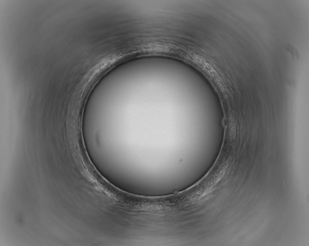 X0000113030625200908271455