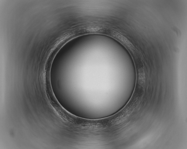 X0000113030626200908271455