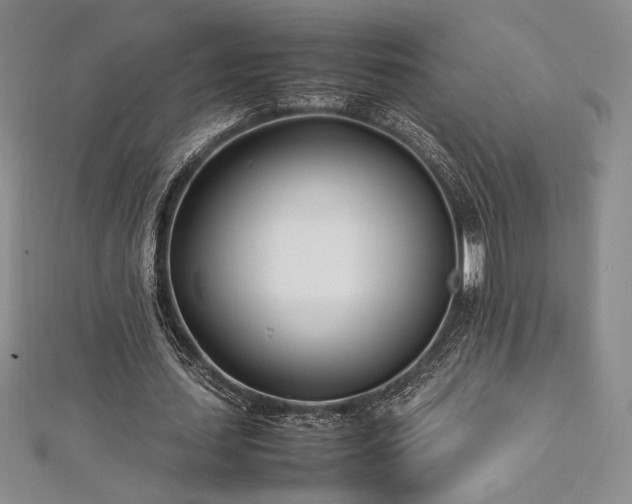 X0000113030627200908271455