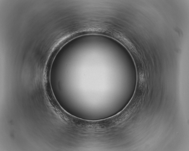 X0000113030628200908271455