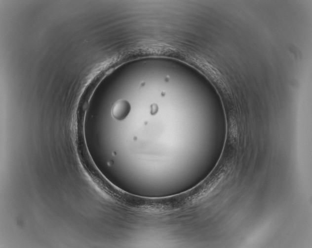 X0000113030630200908271455