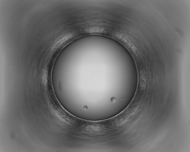 X0000113030631200908271455