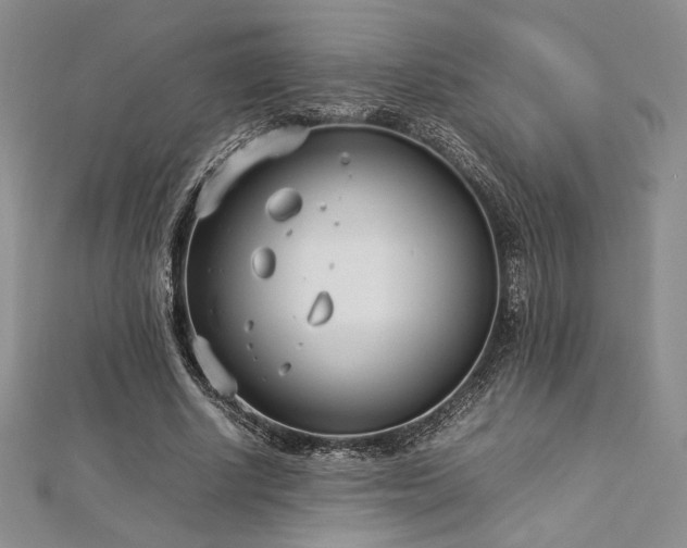 X0000113030634200908271455