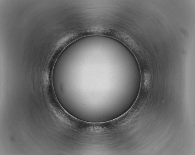 X0000113030636200908271455