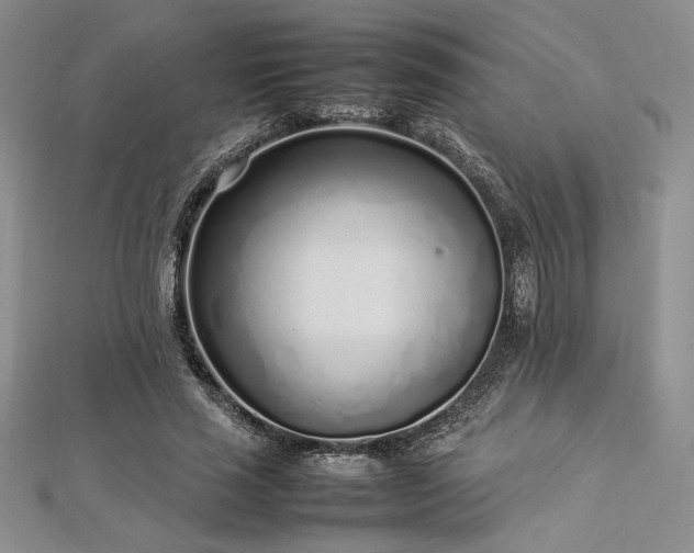 X0000113030637200908271455