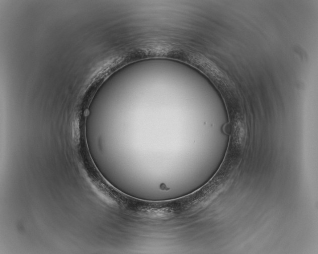 X0000113030638200908271455