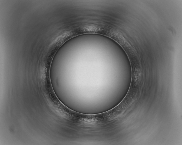 X0000113030639200908271455