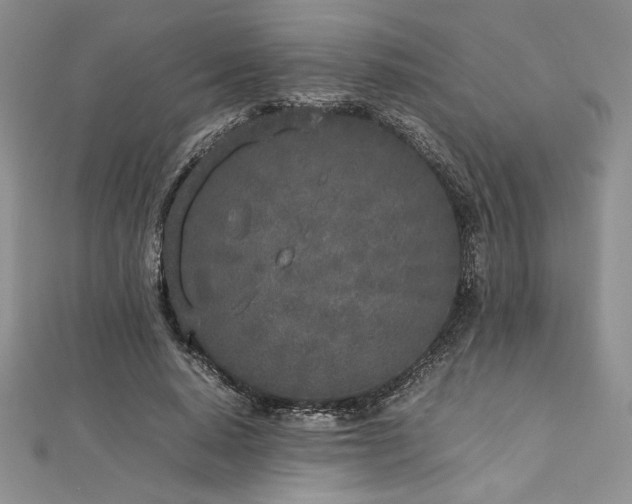 X0000113030640200908271455