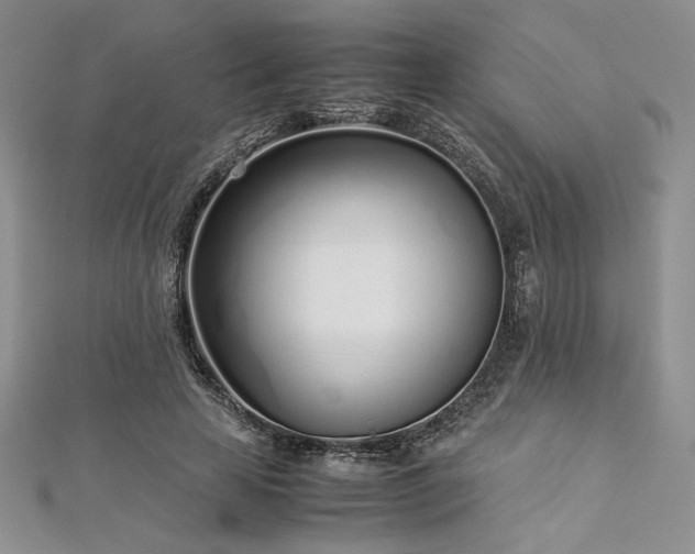 X0000113030641200908271455