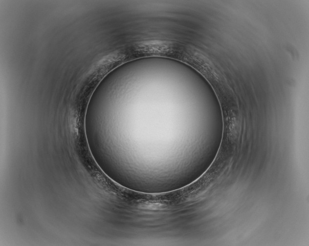 X0000113030643200908271455