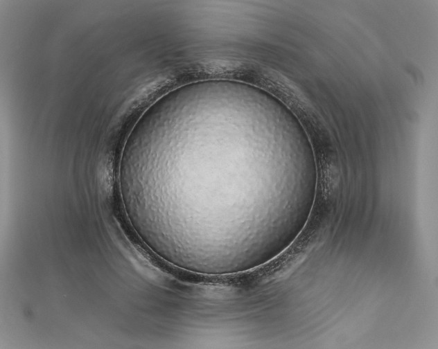 X0000113030644200908271455