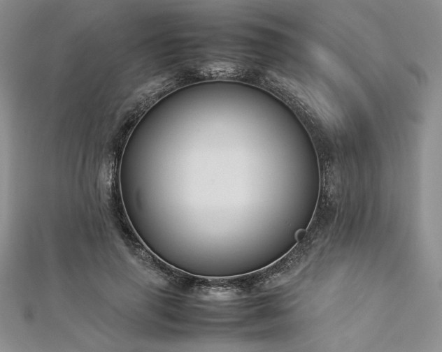 X0000113030645200908271455