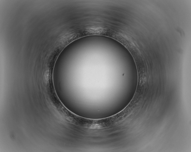 X0000113030647200908271455