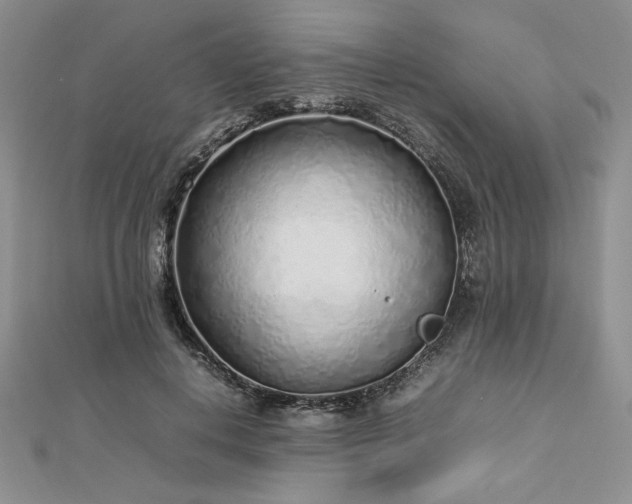 X0000113030648200908271455