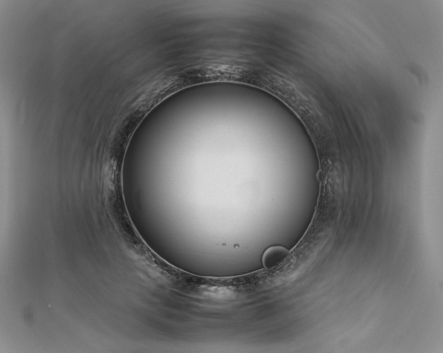 X0000113030649200908271455