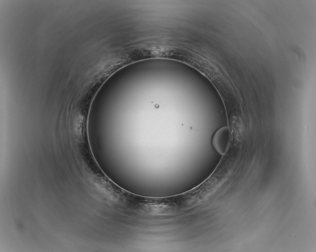 X0000113030650200908271455