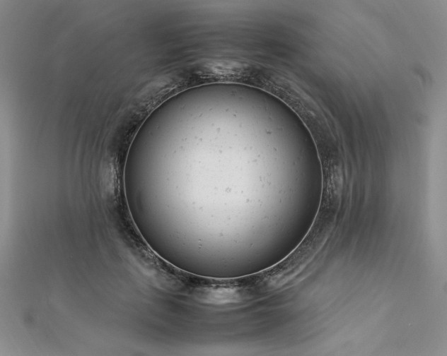 X0000113030651200908271455