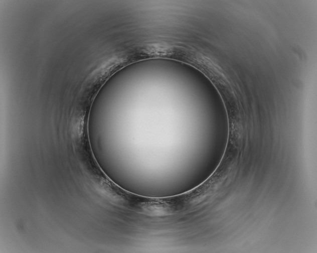 X0000113030652200908271455