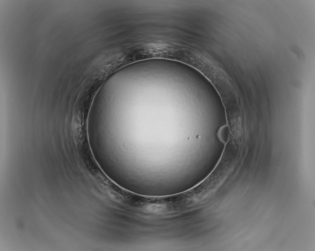 X0000113030653200908271455