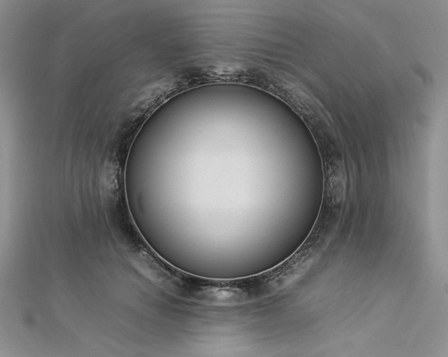 X0000113030654200908271456