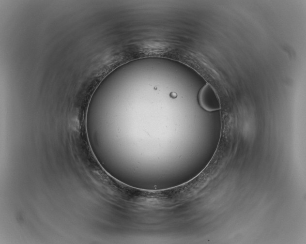 X0000113030655200908271456