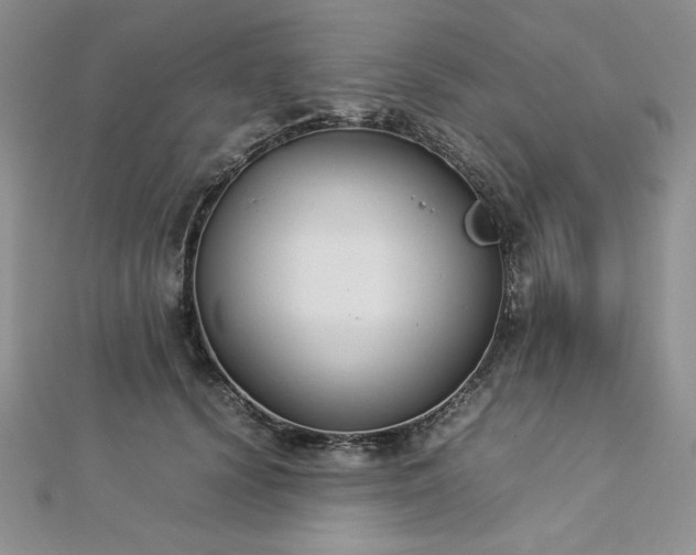 X0000113030656200908271456