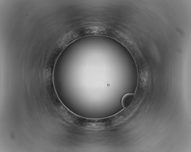 X0000113030657200908271456