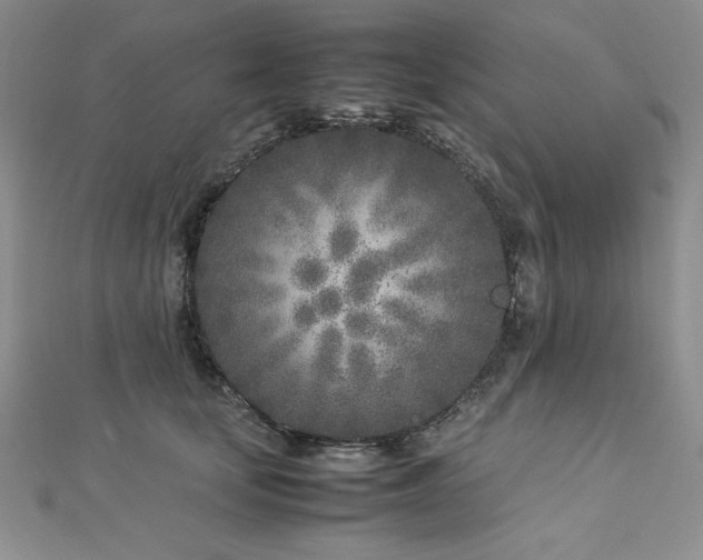 X0000113030659200908271456