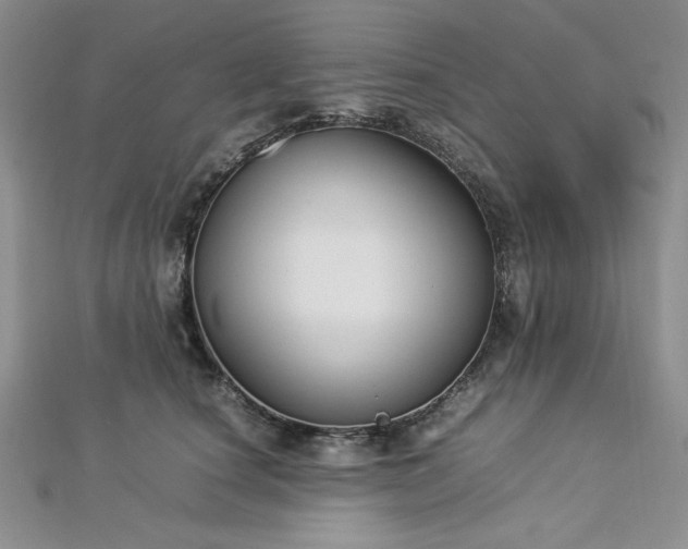 X0000113030660200908271456