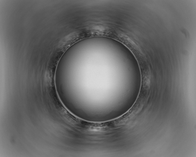 X0000113030661200908271456