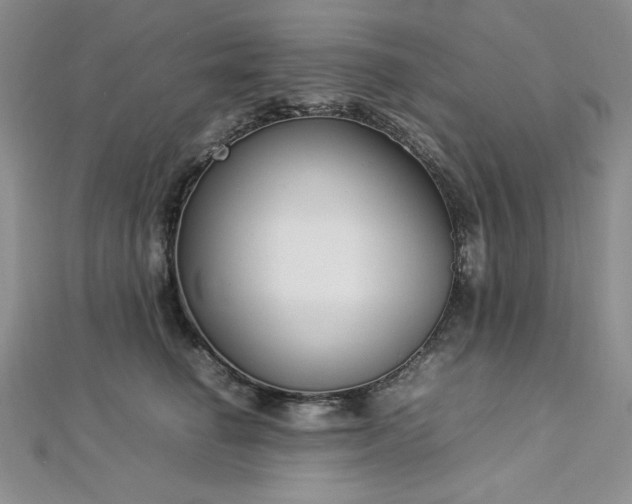 X0000113030662200908271456