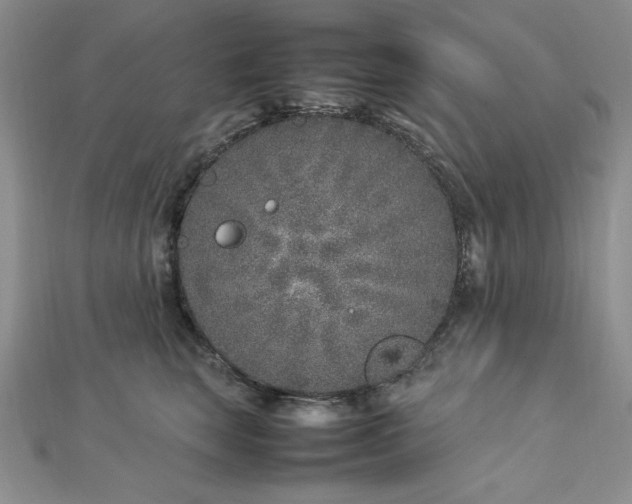 X0000113030663200908271456