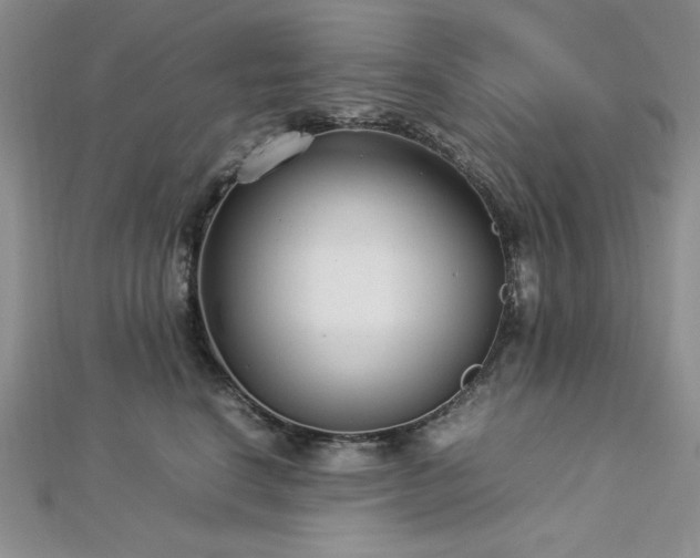 X0000113030664200908271456