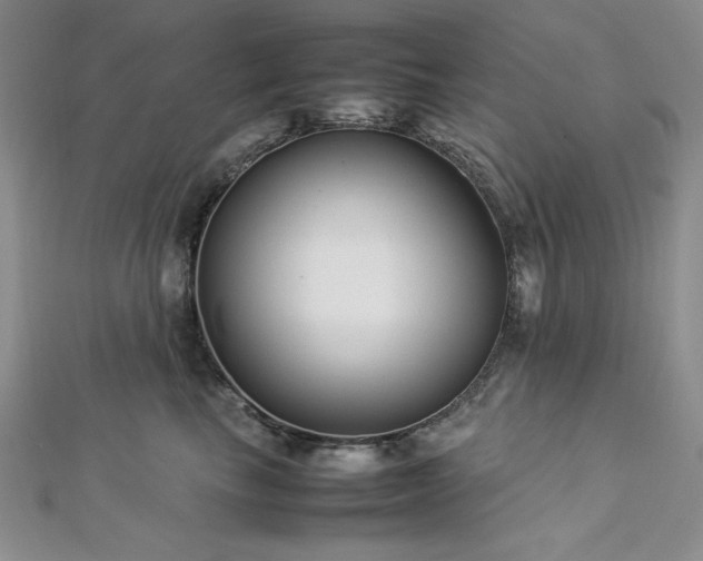 X0000113030665200908271456