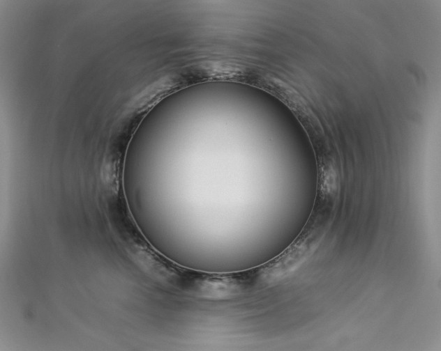 X0000113030666200908271456