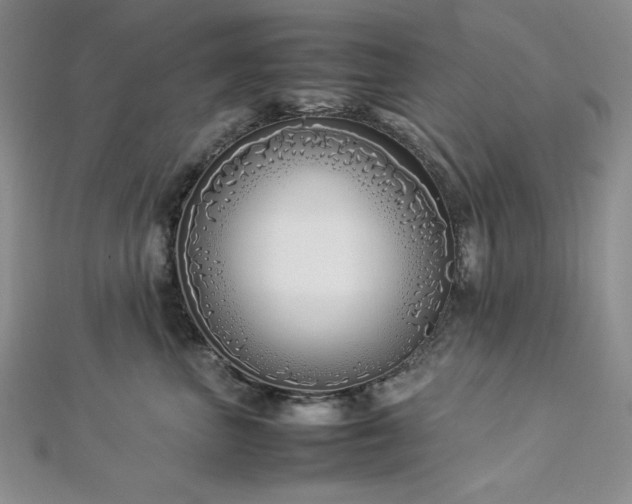 X0000113030667200908271456