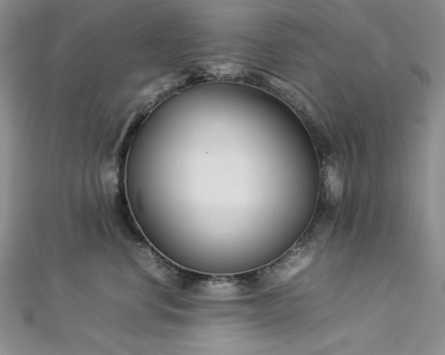 X0000113030668200908271456