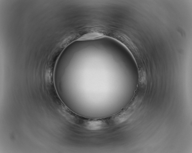 X0000113030669200908271456