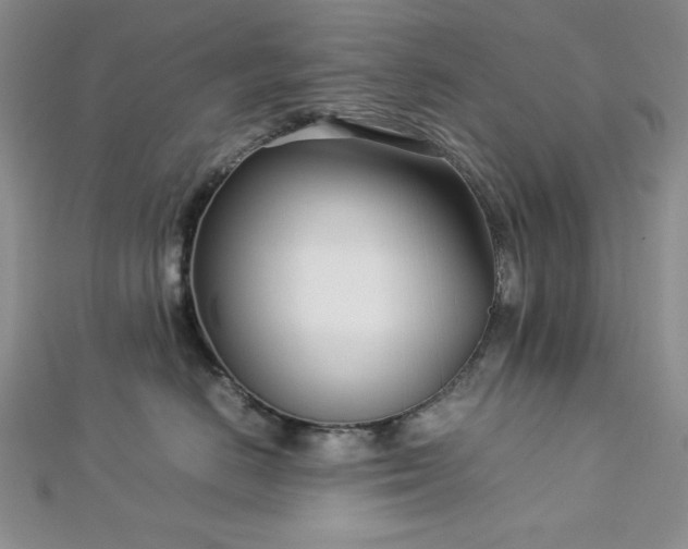 X0000113030670200908271456