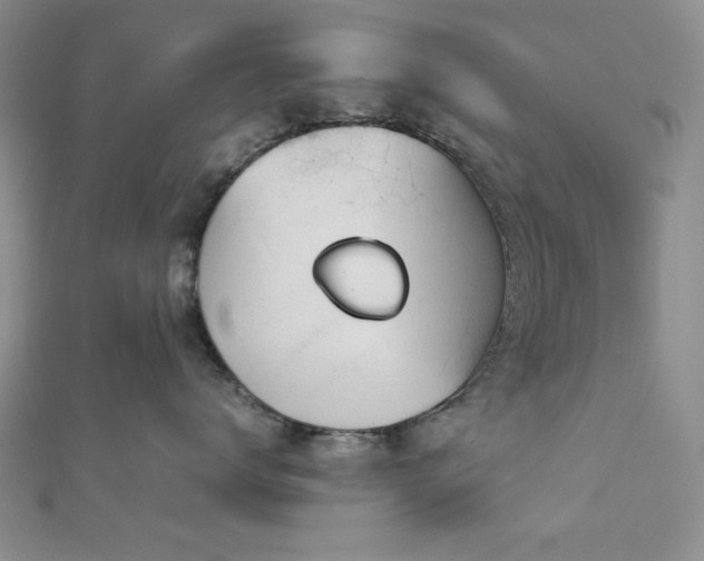 X0000113030672200908271456