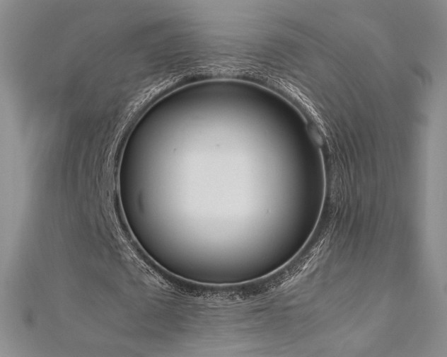 X0000113030673200908271455