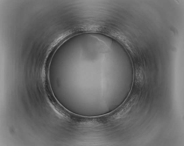 X0000113030674200908271455