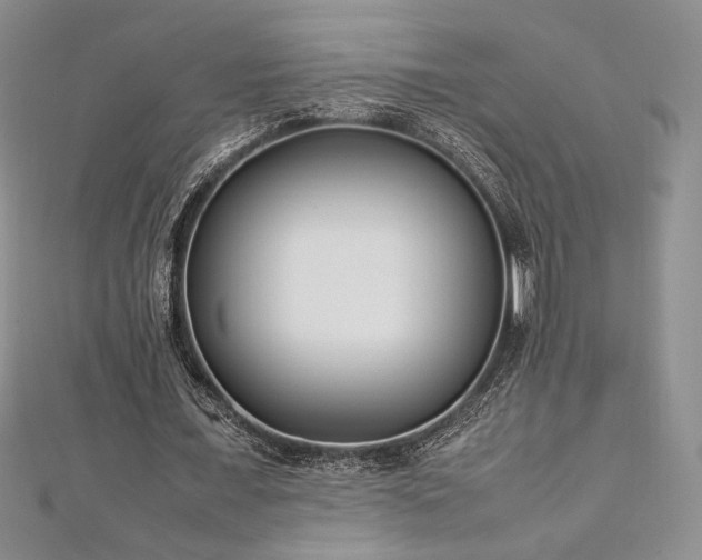 X0000113030675200908271455