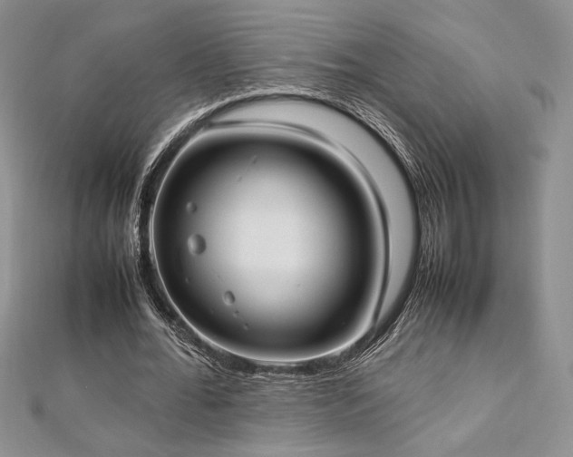 X0000113030676200908271455