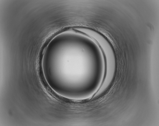 X0000113030677200908271455