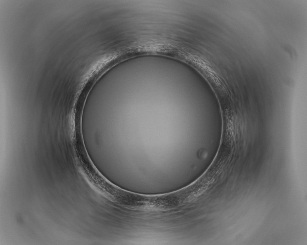 X0000113030678200908271455