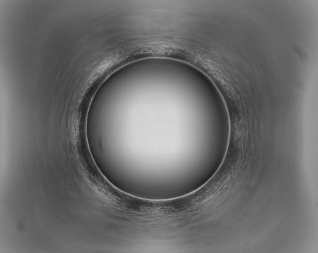 X0000113030679200908271455