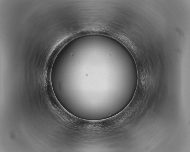 X0000113030680200908271455